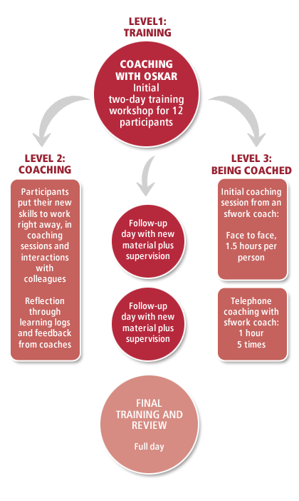 programme structure